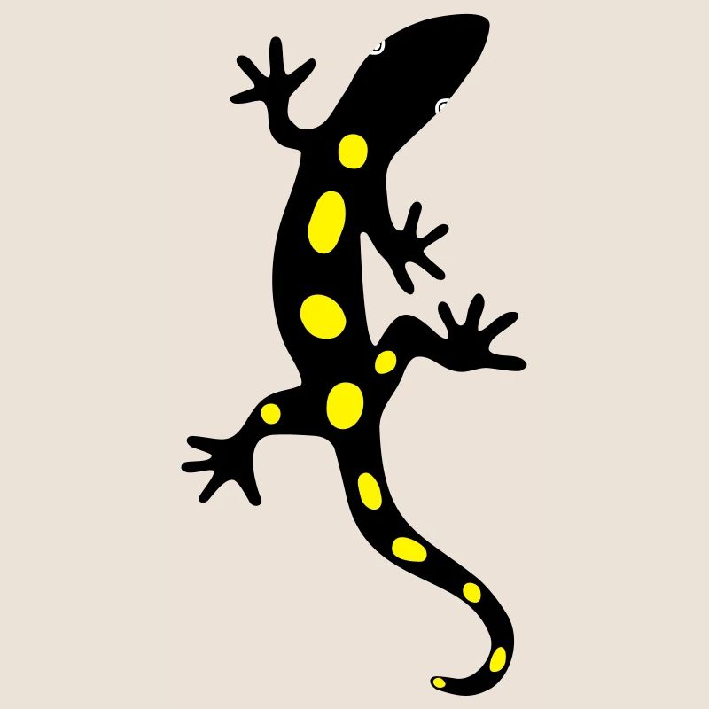 Eidechse Salamander Gecko Feuersalamander