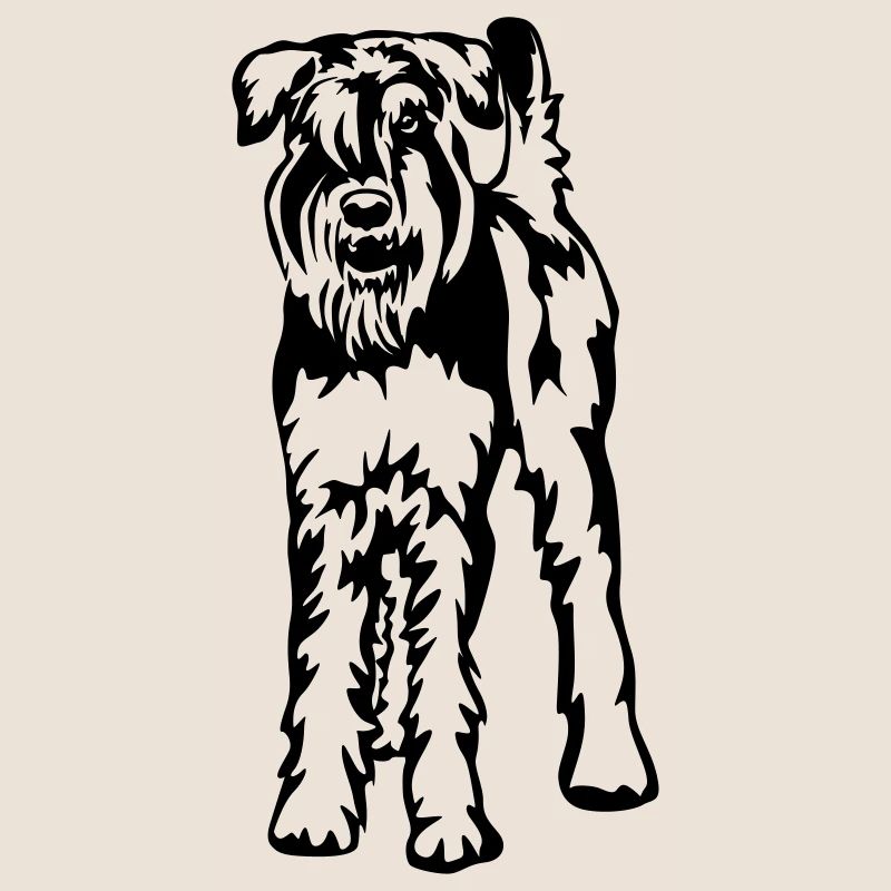 Schnauzer géant