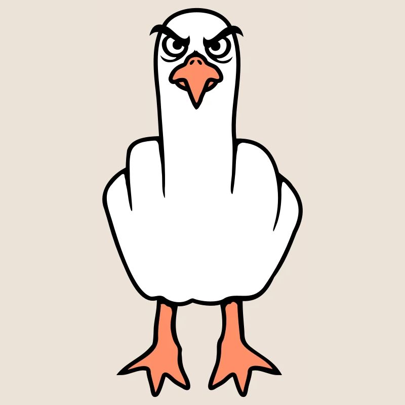 Möwe Mittelfinger Beleidigung Stinkefinger frech