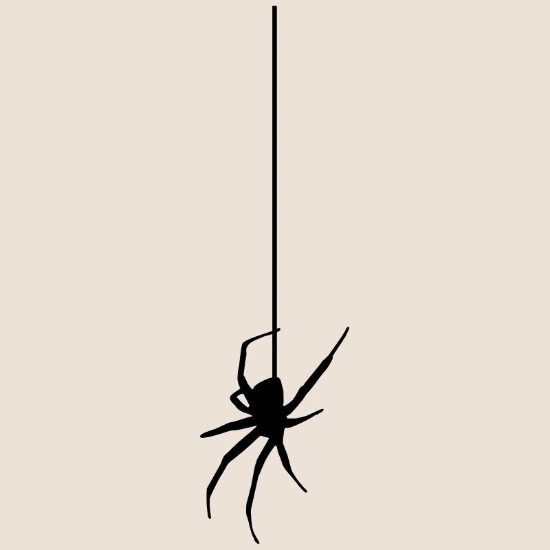 Spider on a thread