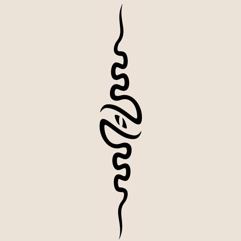 spine_front