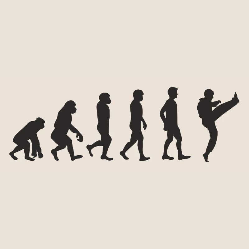 Evolution Karate