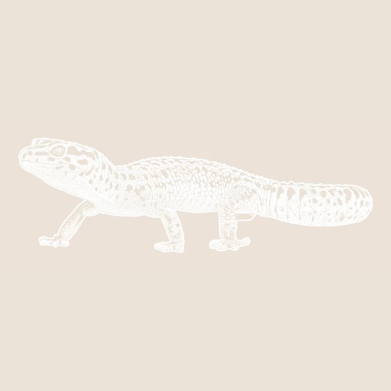Leopardengecko