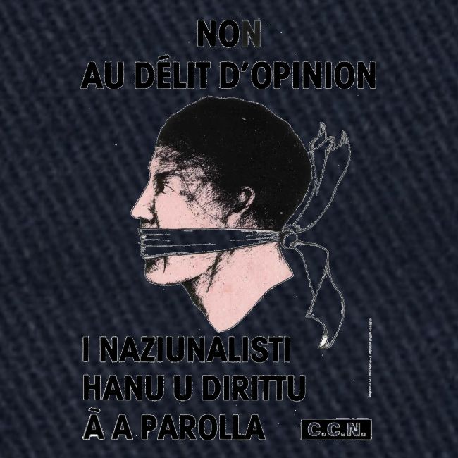 délit opinion
