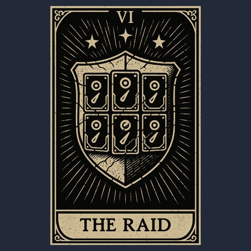 Tarot Datahoarding: Der RAID-Schutz
