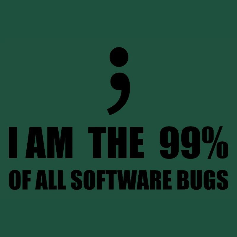 Informatiker, Programmierer