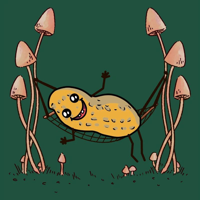 Peanut Peanuts Hammock Chill Hanging Nut