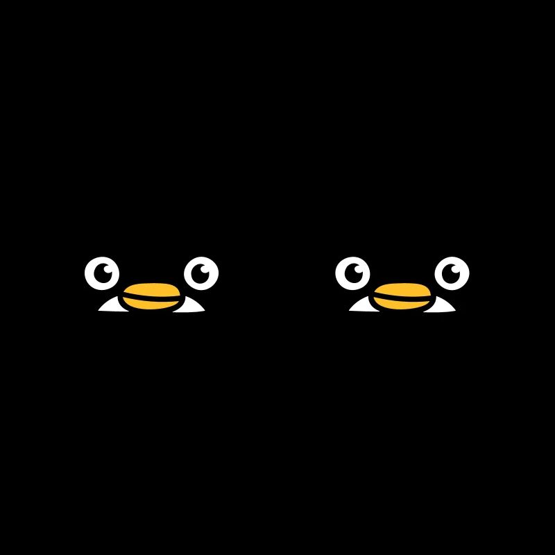2 amis pingouins jetant un coup d’œil derrière le mur Équipe