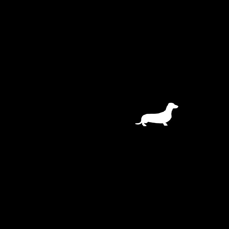 dachshund