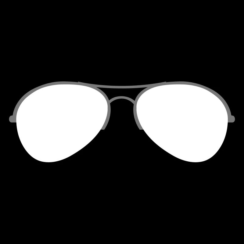 The Aviator Goggles