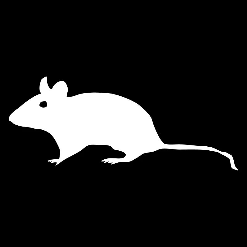Maus