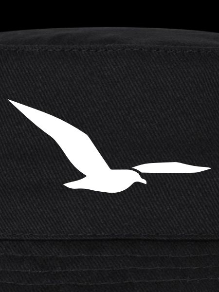 Möwe