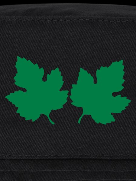 feuilles