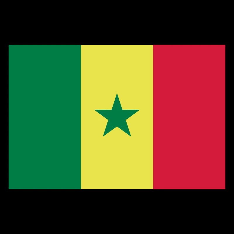 Drapeau Sénégal / Senegal flag