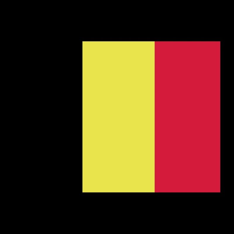 drapeau belge