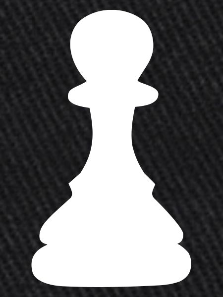 schach bauer
