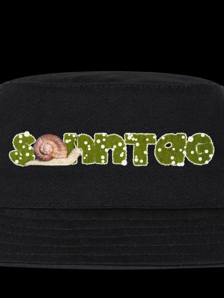 Escargot du dimanche