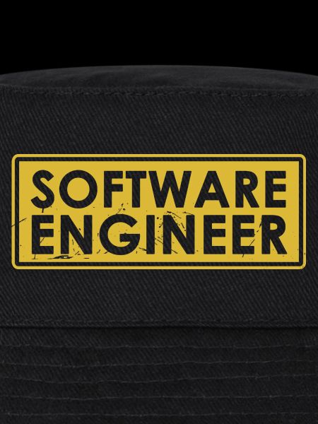 Software-Ingenieur