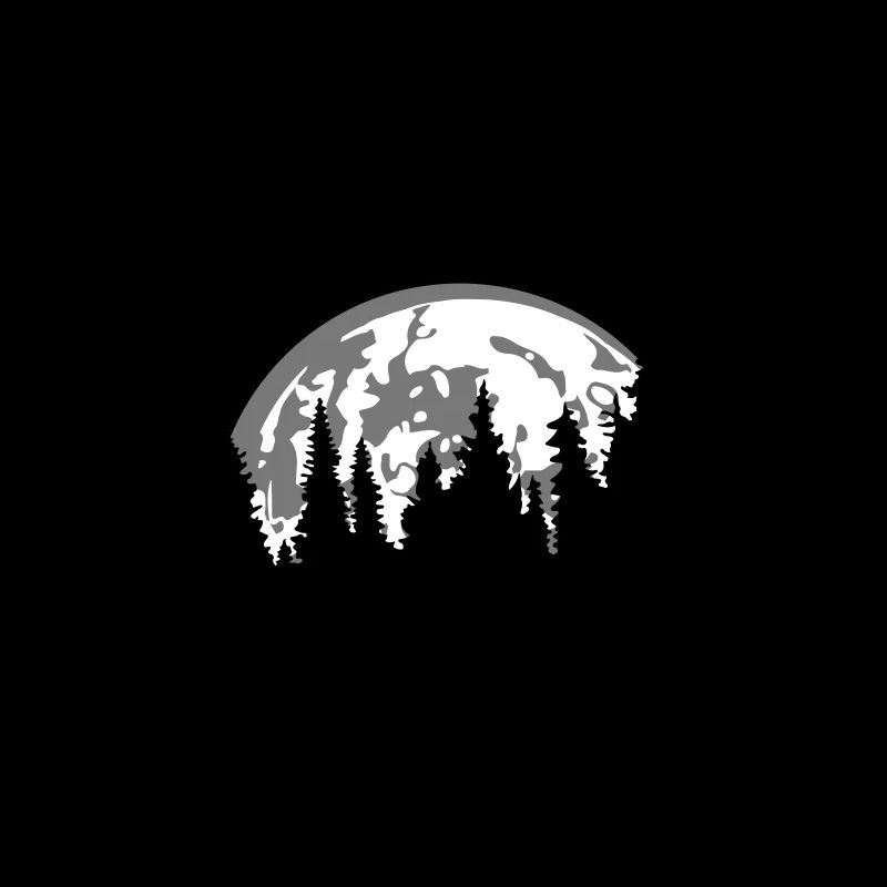 moon night full moon setting tree forest conifer