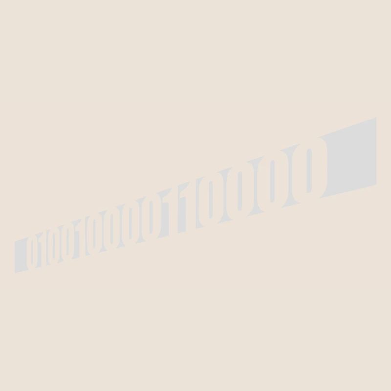 Binär Code Programm Sprache