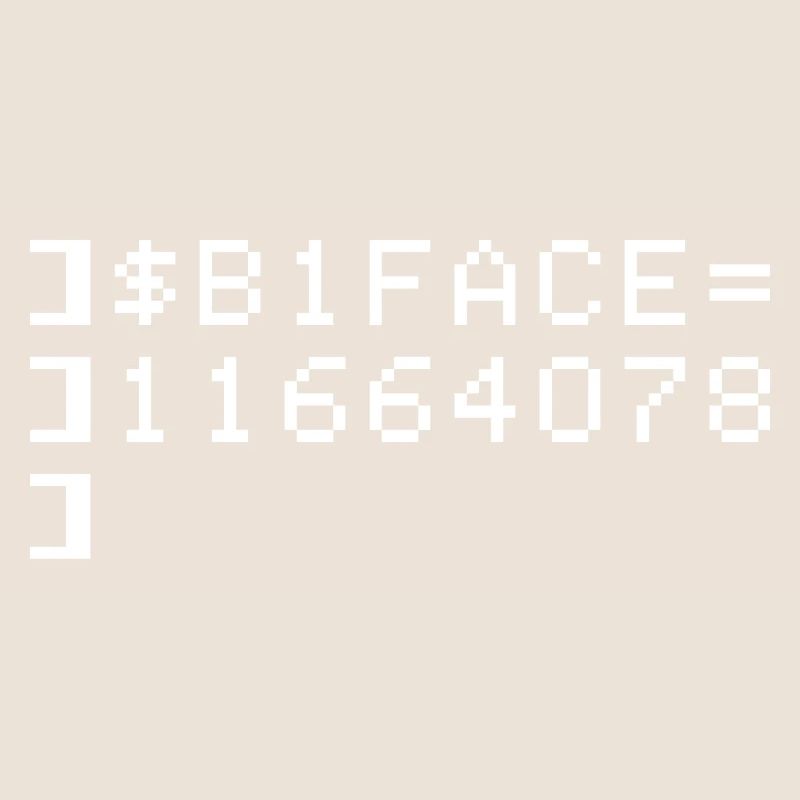 B1FACE Biface Code hexadécimal 8 bits Geek