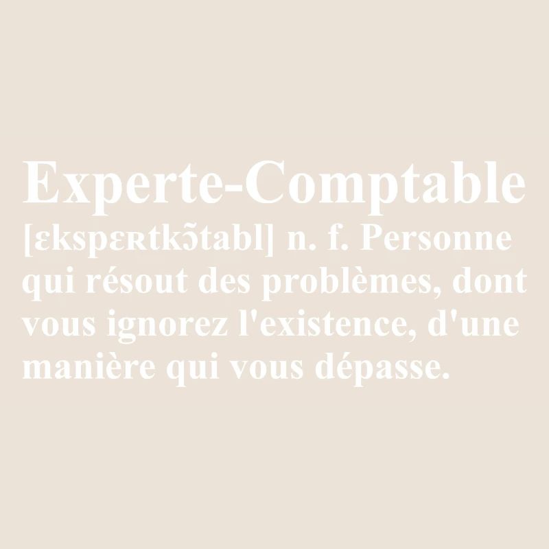 Experte-Comptable Définition