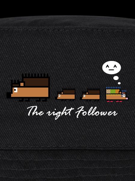 HérissonFollowers