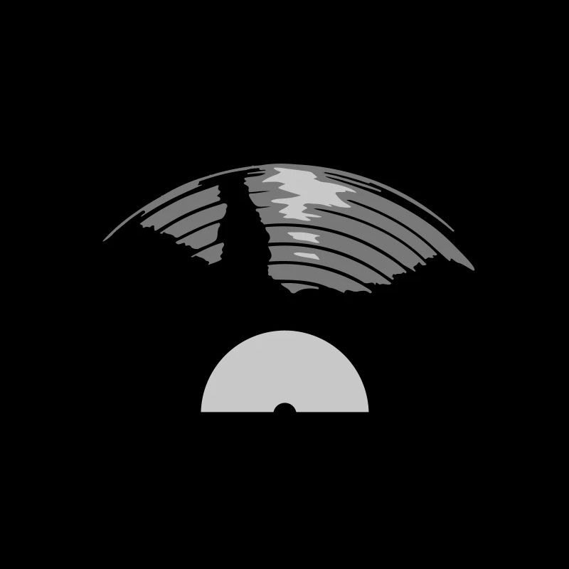Half Vinyl Record Music