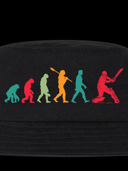 Évolution du cricket