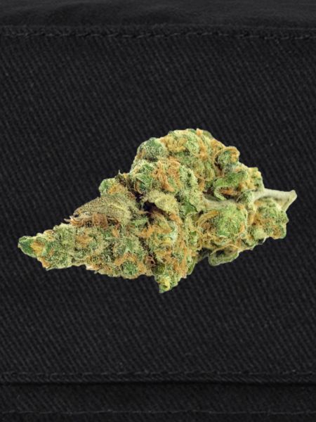 Single Cannabis / Weed Bud / Fleur