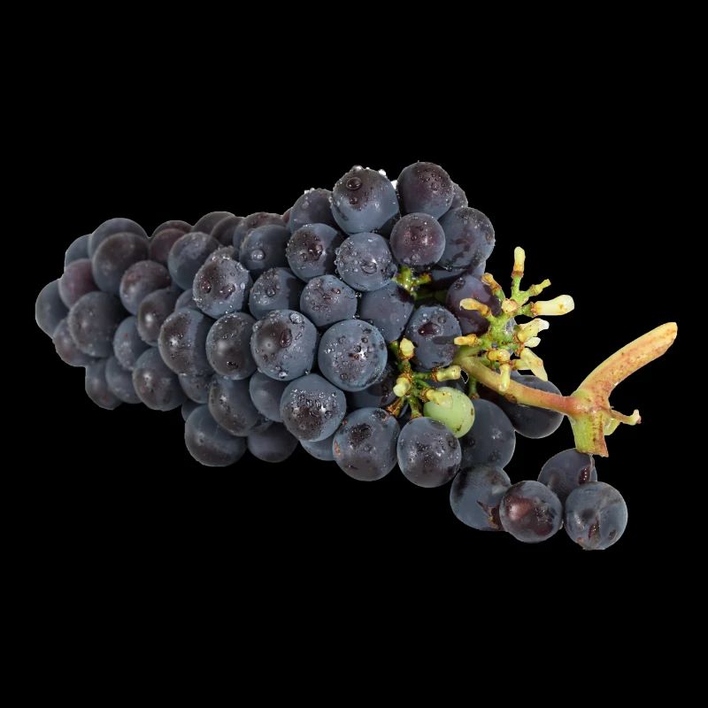 Tasty grapes