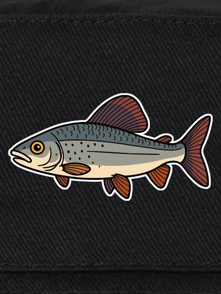 Fisch Äsche