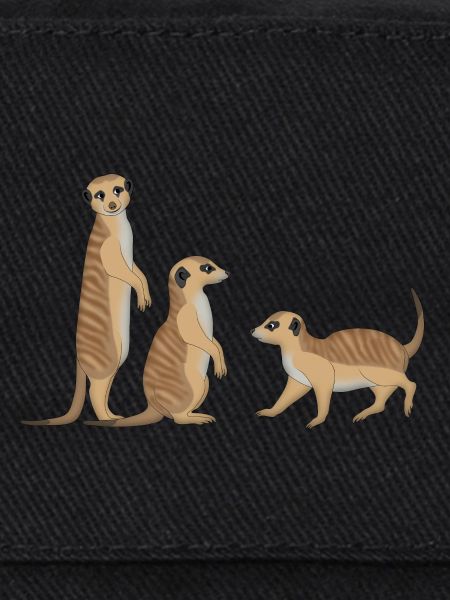 Trois suricates