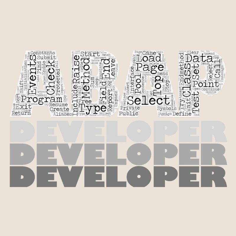 ABAP Developer
