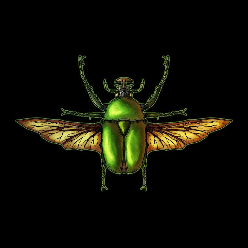Insecte