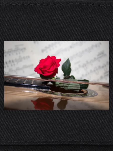 Red Rose on Guitar