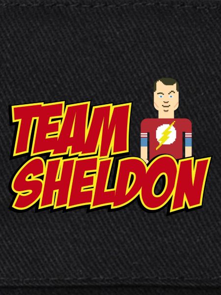 Team Sheldon Comic