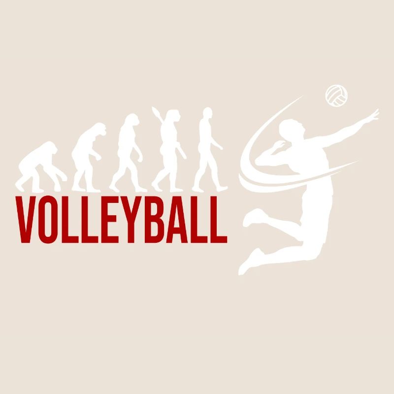 Evolution Volleyball