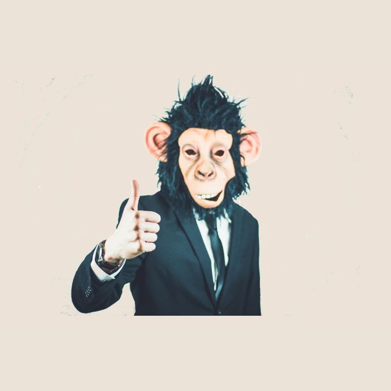 Monkey