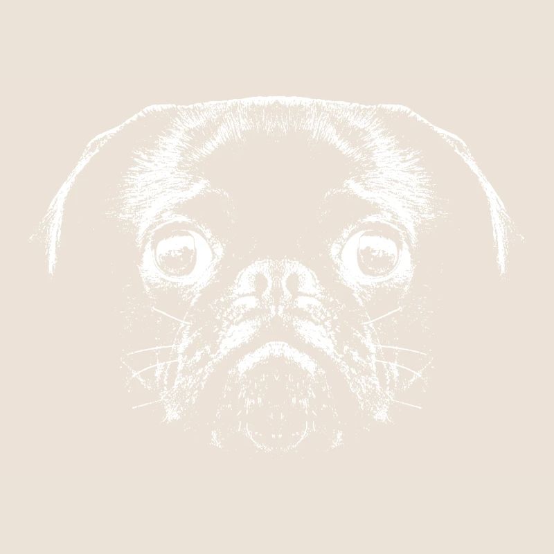 Mops / Gesicht / Kopf