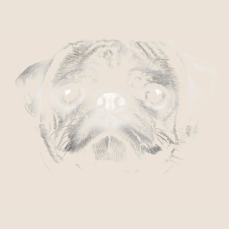 Mops