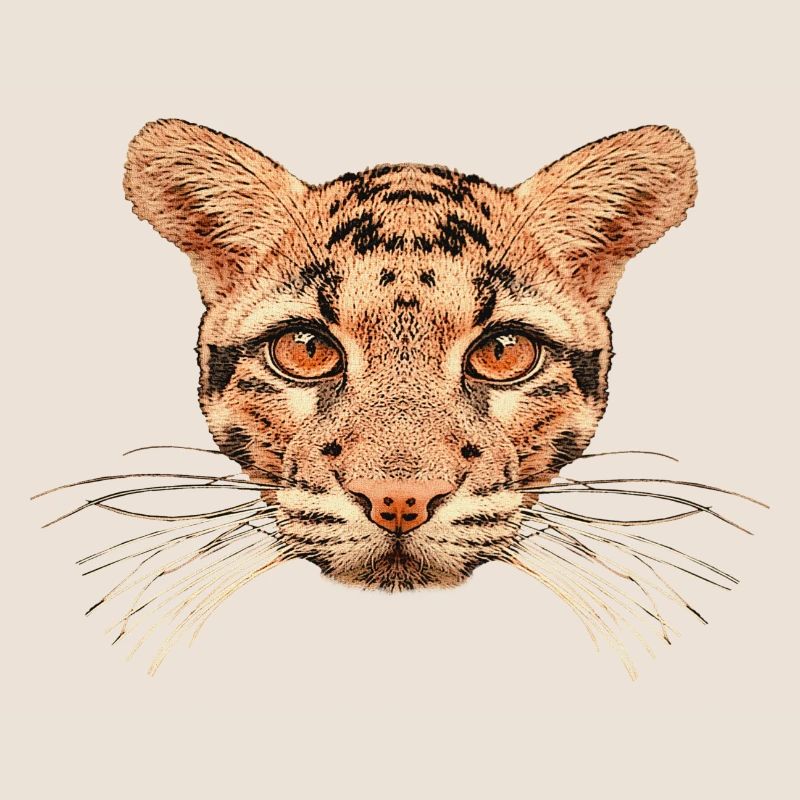Big cats outfit, clouded leopard, big cat