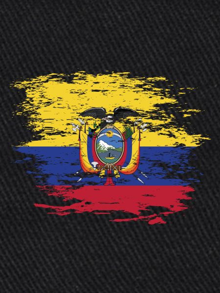 Ecuador flag used