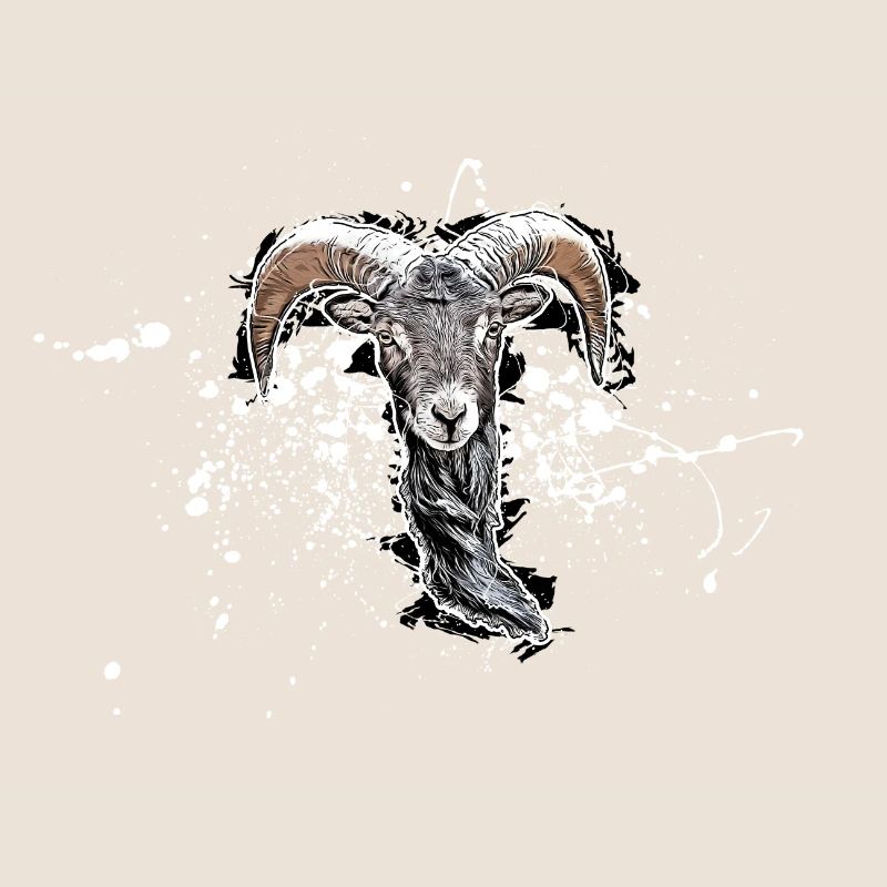 Bouc