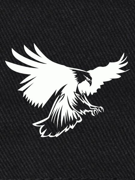 Aigle