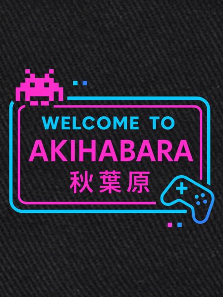 Welcome to Akihabara