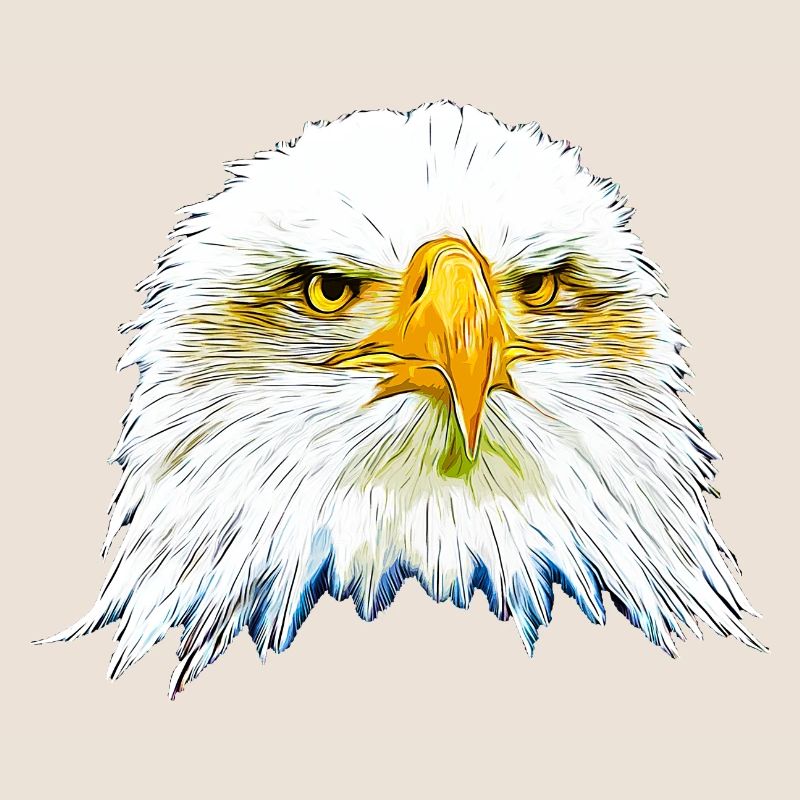 gxp eagle bald eagle vector art