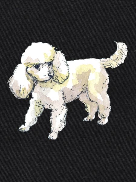poodle