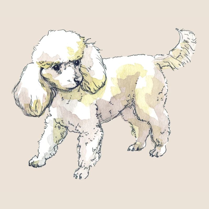 Pudel
