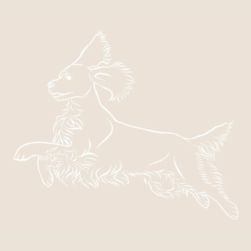 Springer Spaniel